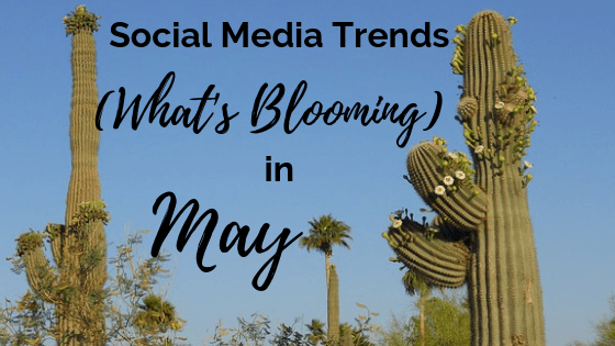 What's trending in May