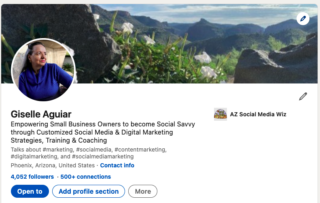 LinkedIn professional profile