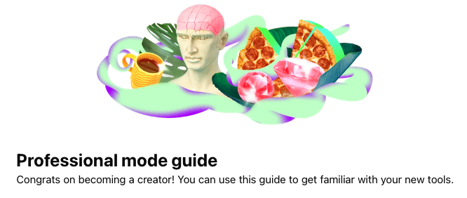 Facebook Professional Profile Mode